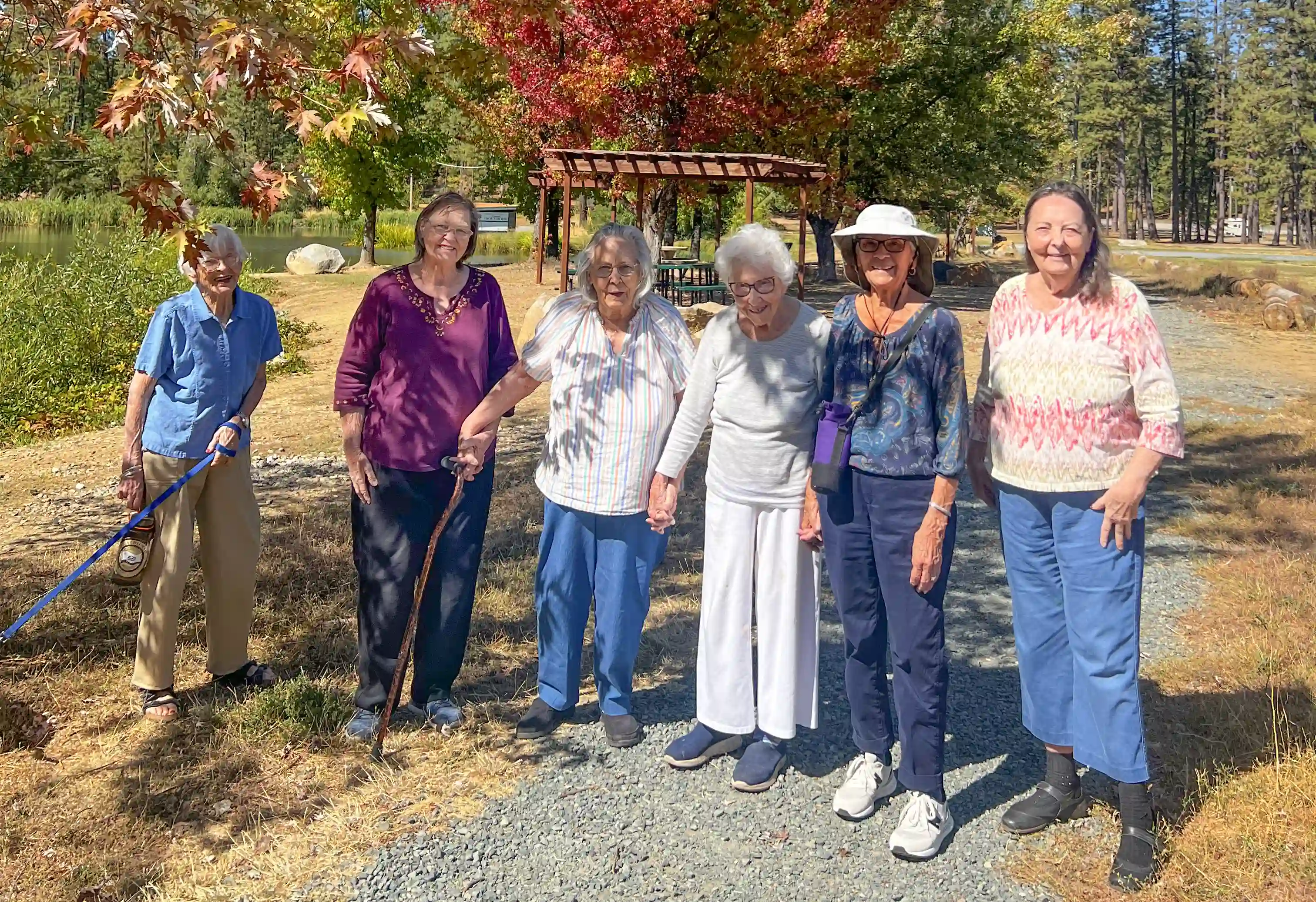 Elderly Outings #10 Elderly Outings #10